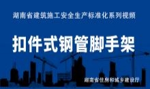 扣件式钢管脚手架